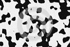 Cow texture background