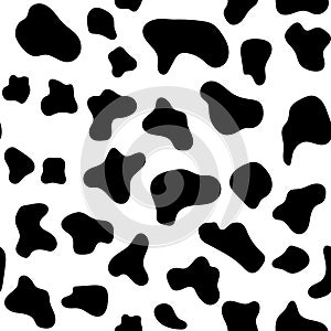 Cow texture pattern black and white. Spot skin seamless background. Animal skin template. Vector design illustration.