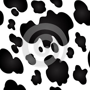 Cow texture pattern repeated seamless black and white lactic chocolate animal jungle print spot skin fur