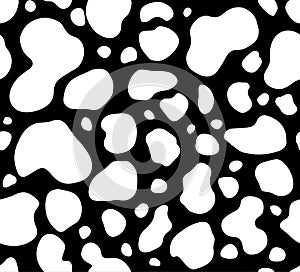 Cow texture pattern repeated seamless black and white lactic chocolate animal jungle print spot skin fur