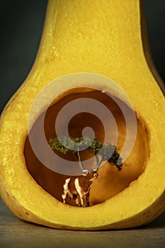 A cow underneath a tree inside a butternut.