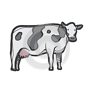 Cow. Vector illustration decorative design