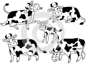 Cow Vector Set