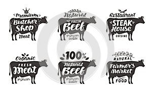 Cow. Vector set food labels, badges and icons. Lettering butcher shop