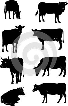 Cow, vector, silhouette