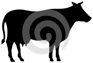 Cow vector silhouette