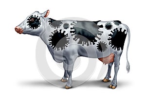 Cow Virus Outbreak photo
