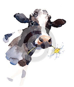 Cow Watercolor Farm Animal Illustration Hand Painted