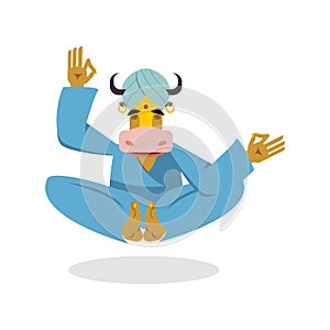 Cow yoga. Cow yogi meditates. Blue Cow practices yoga. Animal m