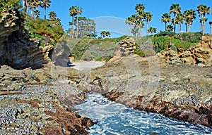 Cowards Cove. Laguna Beach, California.