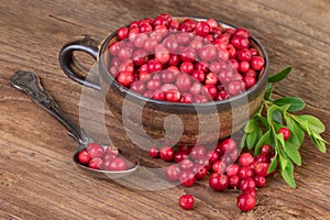 Cowberry Lingonberry cup
