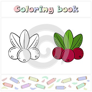 Cowberry. A page of a coloring book with a colorful fruits and a sketch for coloring.