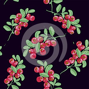 Cowberry Seamless autumn pattern with natural elements on dark background. leaves, cowberry. Vector.