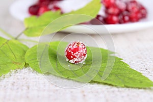 Cowberry sprinkled with sugar on green leaf