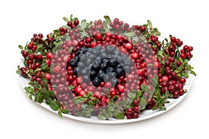 Cowberry and whortleberry on plate photo