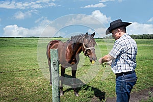 Cowboy in black cowboy hat hand feeding a plat to his brown horse.