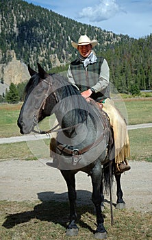 Cowboy on Blue Roan Horse photo