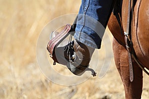A cowboy boot. photo