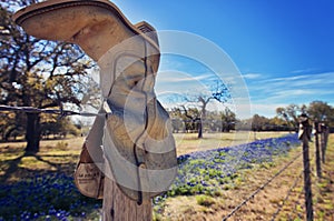 Cowboy boots on barbed wire fence with bluebonnets