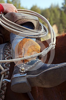 Cowboy Boots and Ropes