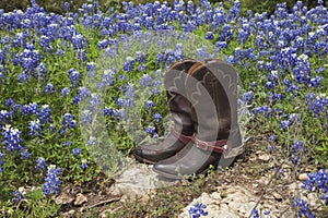Cowboy boots with spurs in a field of Texas bluebonnets