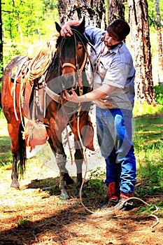 Cowboy Bridles Horse