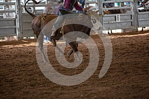 Cowboy On A Bucking Bull At Rodeo