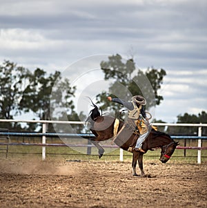 Cowboy On A Bucking Horse At A Rodeo