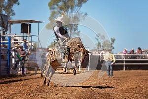 Cowboy Riding bucking Bull At Rodeo
