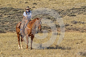 Cowboy at the Hole-in-the-Wall country of Wyoming. photo