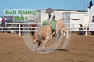 Bullriding 2019 Text - Cowboy Bull riding At A Country Rodeo