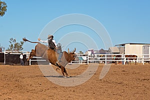 Cowboy Competing In A Bull Riding Event At A Country Rodeo