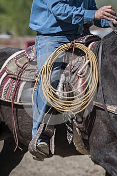 Cowboy detail photo