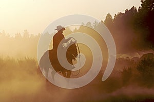 Cowboy in the Dust photo