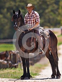 Cowboy, farm and relax on horse in outdoor, wellness and equestrian sport on western ranch. Strong, stallion and jockey