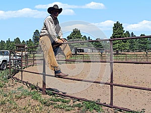 Cowboy on a fence on a ranch looking photo