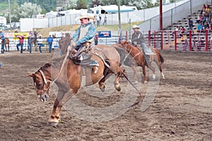 Cowboy fights to stay on bucking horse at saddle bronc competition