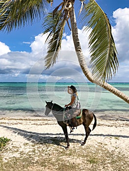 Cowboy girl on a horse under a palm tree.
