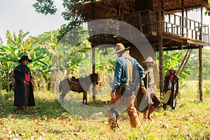 Cowboy with gun prepares to gunfight