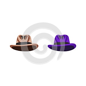 Cowboy hat,brown and purple