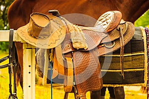 Cowboy hat, saddle strings, skirt, horse objects,