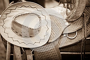 Cowboy hat, saddle strings, skirt, horse objects,