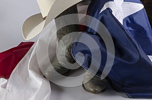 Cowboy hat and Texas flag