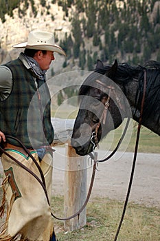 Cowboy and His Horse photo