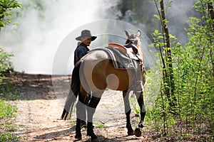 Cowboy on his horse walking through dust in the forest