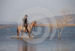 Cowboy on his horse walking through dust in the lake