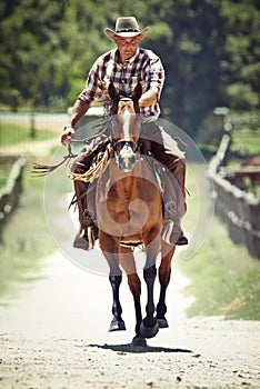 Yeeha. A cowboy on his horse.