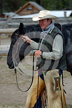 Cowboy Holding Blue Roan Horse photo