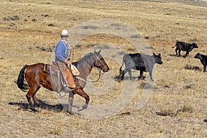Cowboy at the Hole-in-the-Wall country of Wyoming. photo