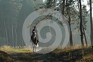 Cowboy with a horse